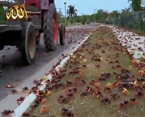 عجائب البحر .. مشاهد لأول مرة تراها في حياتك .. سبحان الخالق