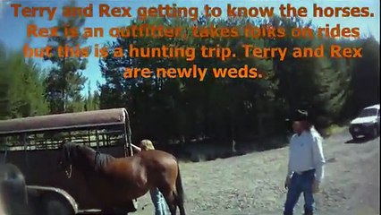 Mountain Pass Ranch Horseback Ride