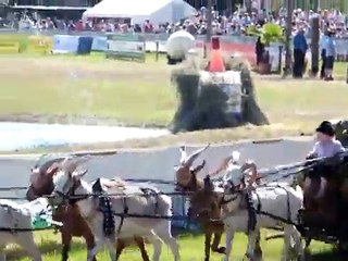 Titanen der Rennbahn 002.MP4