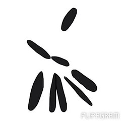 Short Tally Hall animation practice