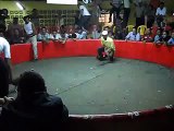 pelea de gallos en cali - juanchito.flv