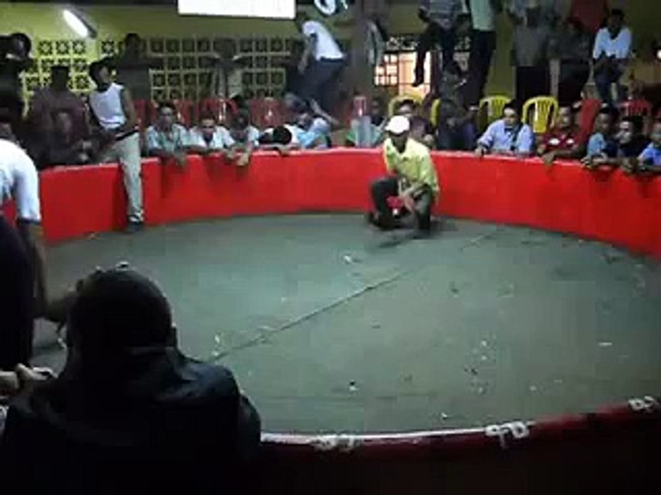 pelea de gallos en cali - juanchito.flv