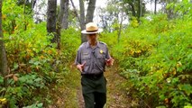 Dunes 101: Battle for The Dunes | Indiana Dunes Country