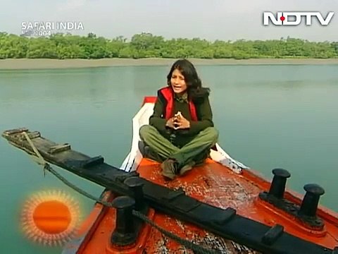 Sunderbans: The largest mangrove forests in the world (Aired: Sep 2004)