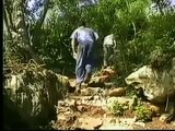 Mogotes de Jumagua. Fósiles