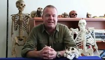 The significance of the six papers published in Science on Australopithecus Sediba