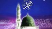 New Naat - Darbar e Risalat ki by Abdul Latif Haseeri - Urdu NAAT- - Hamara Islam Biggest Islamic Video Portal