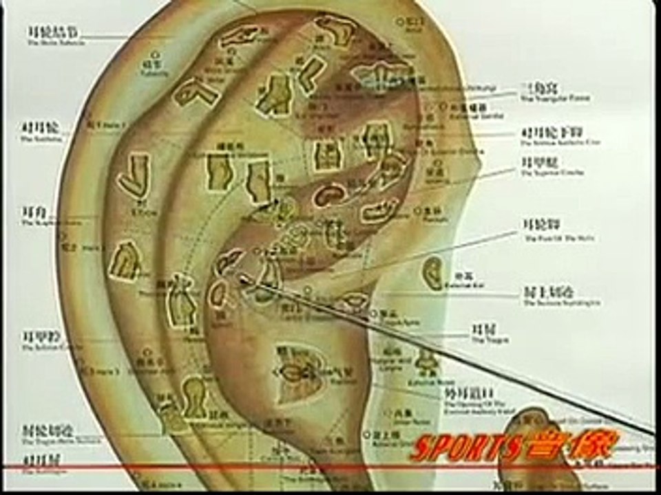 DIY 健康保健耳穴按摩 (11) 治疗胃痛
