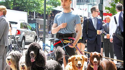 bring your dog to work by mervyn day