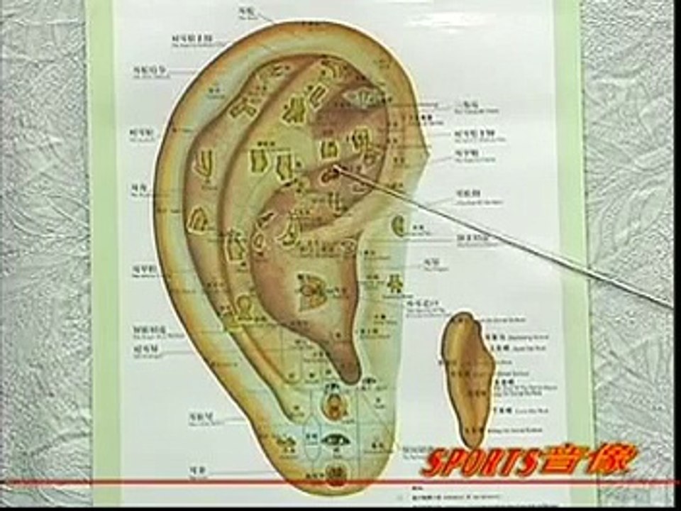DIY 健康保健耳穴按摩 (23) 治疗牙痛