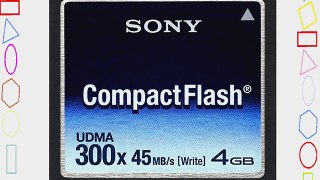 Sony 4 GB 300x CompactFlash Memory Card NCFD4G