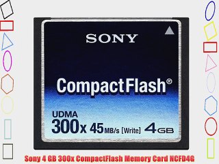 Sony 4 GB 300x CompactFlash Memory Card NCFD4G