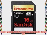 SanDisk SDSDXP1-016G-A75 16GB Extreme Pro SDHC Memory Card