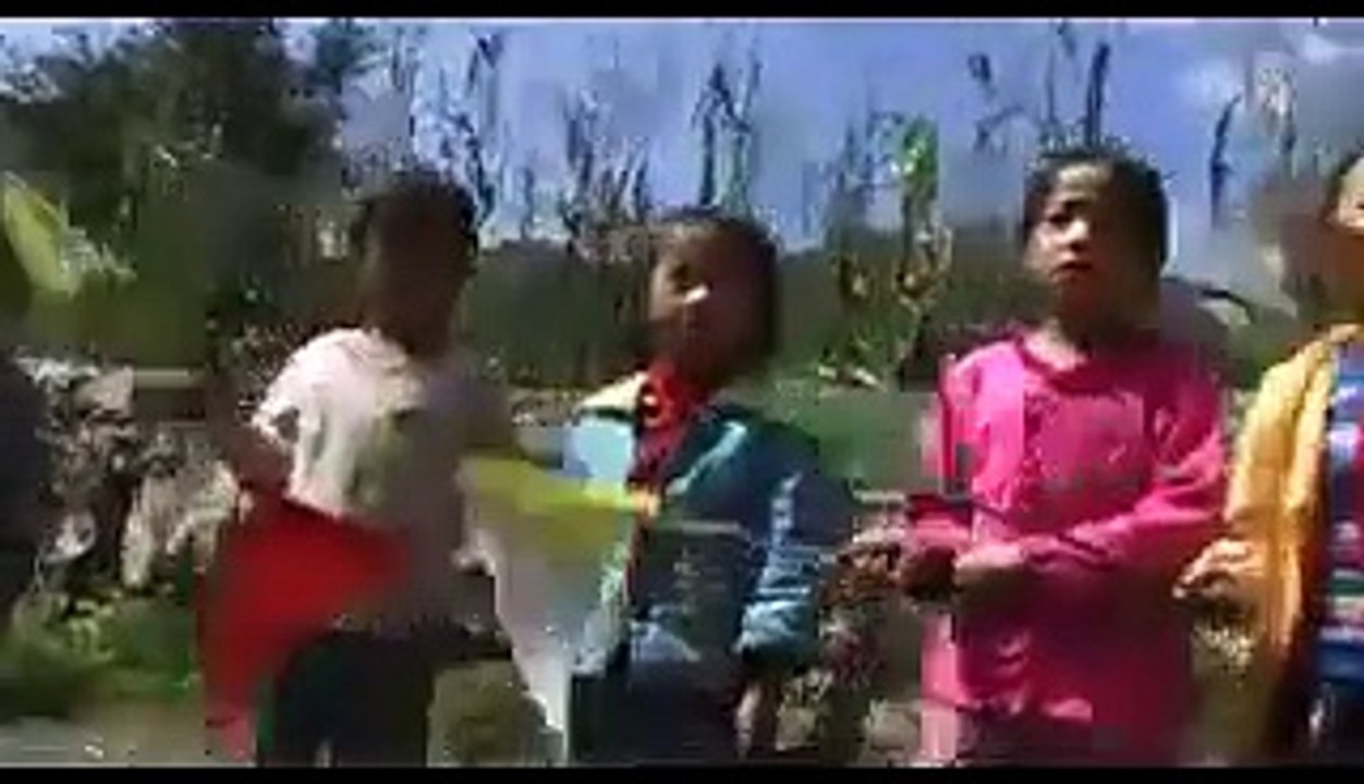 Beehive Project - Schools in Guizhou