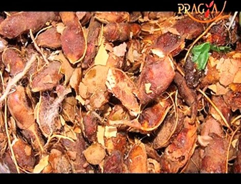 Health Alert! Benefits of (Tamarind) Imli: Dr. Ritu Sethi (Ayurveda Expert)