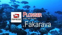 Tetamanu, Fakarava - Plongée sous-marine / Scuba diving