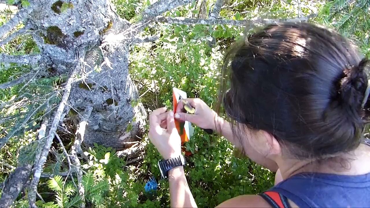 Parcours d'orientation dans le Val d'Azun