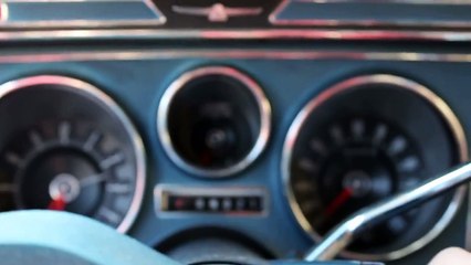 1976 Ford Thunderbird Startup and Revving