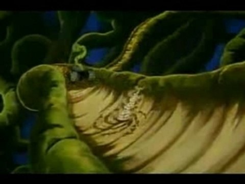 Jayce et les conquerants de la lumiere (generique)