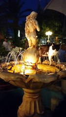 Chat buvant à la fontaine