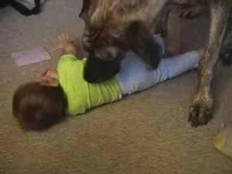 Chien-chatouille-enfant