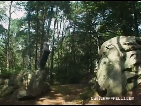 Le Parkour - David Bell & Cyril Raffaelli