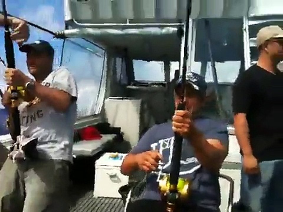 Sport Fishing Charters Sydney-Dolphin Fish-Video 1- by Sealord Charters - Video