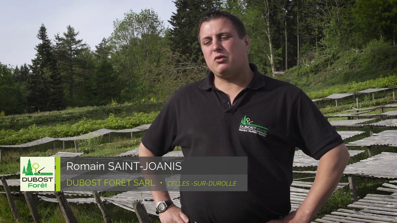 Pépinière forestière Dubost Forêt
