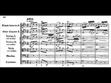 J.S. Bach - BWV 201 (5/15) - Aria: 