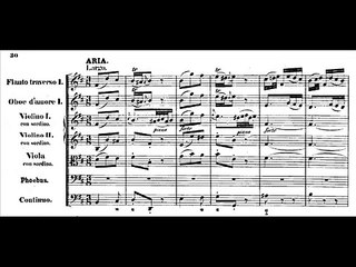 J.S. Bach - BWV 201 (5/15) - Aria: "Mit Verlangen drücke ich deine zarten Wangen"