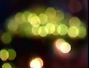 طفیل نیازی کی یاد میں۔ جاوید نیازی، بابر نیازی۔