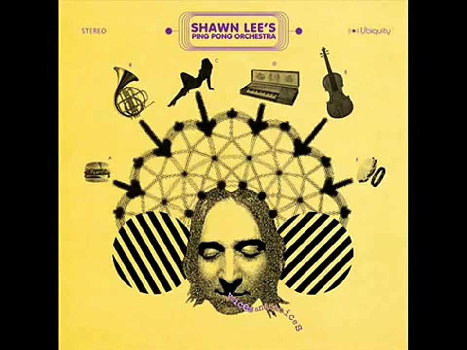 Shawn Lee's Ping Pong Orchestra - Kiss The Sky
