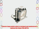 Sanyo POA-LMP114 replacement projector lamp bulb with housing - high quality replacement lamp