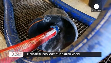 Industrial symbiosis in Kalundborg: turning waste into a resource