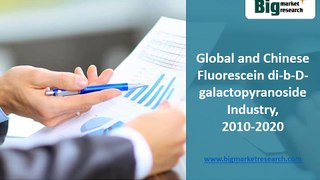 Global and Chinese Fluorescein di-b-D-galactopyranoside Industry 2010-2020
