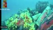 2,000-Year Old Roman Shipwreck Found Near Sardinia