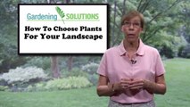 Gardening Solutions - Choosing Plants for Your Landscape