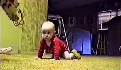 OMG!!! What is DOG doing with the KID