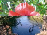 Paraje denominado La laguna de las Juntas en Rivas Vaciamadrid