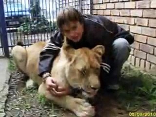 Elsa the lioness, not only a lion, but also my life!!