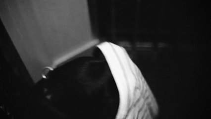 "Who let the dog out?", de Melodie Grumberg