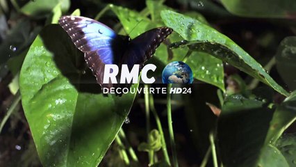 En Juillet 2015 sur RMC Découverte, PLUS FORT QUE LA FICTION !