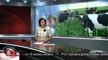 Krievijas sankcijas piensaimniekus skars smagi