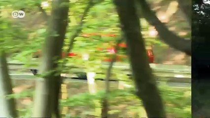 فورد موستانغ | عالم السرعة