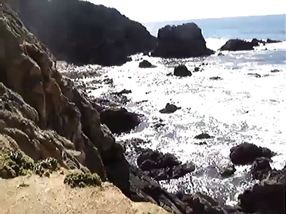tomales bay