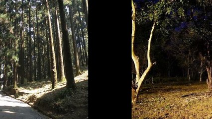 Haunted places in India by Thomas Salzano