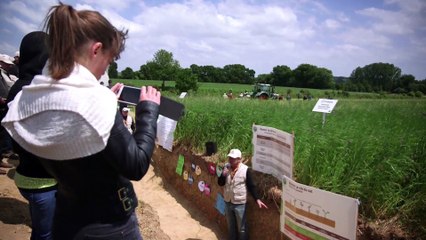 Triskalia - Les rendez-vous Planète Positive 2015