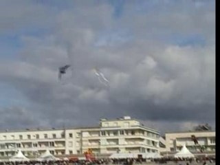 Cerf-volant Berck 2006 Richard Debray