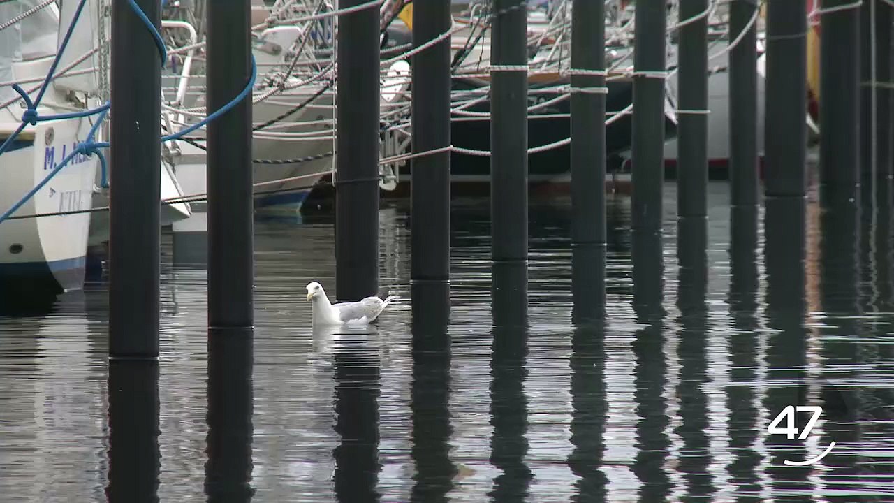 21.06.2015 | 60 Seconds Morning News