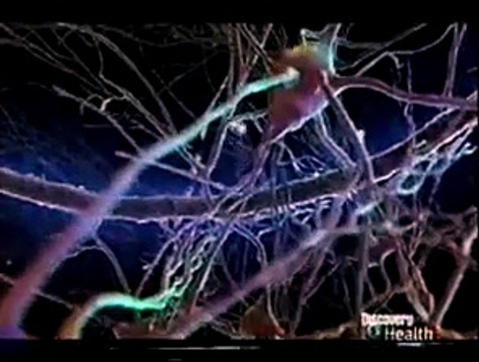pubertad 2 wmv
